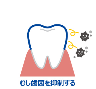 むし歯菌を抑制する